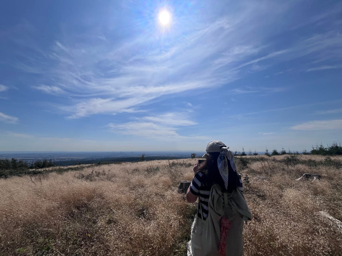 46週復盤| Chatgpt升級