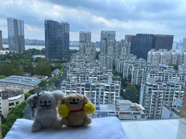 在平淡的財務工作裡，找回主動權